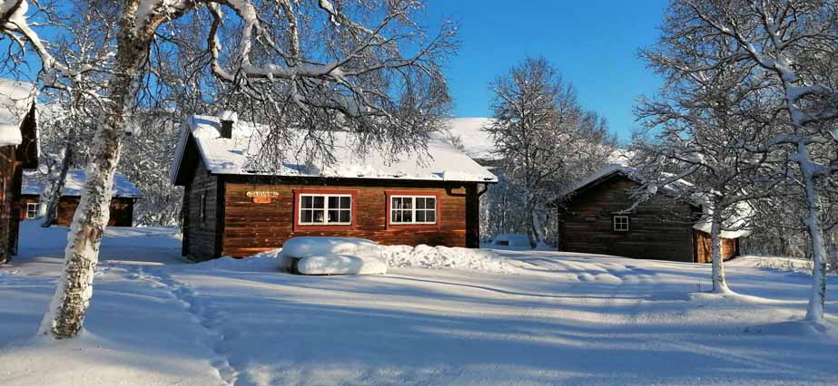 FH Vinter