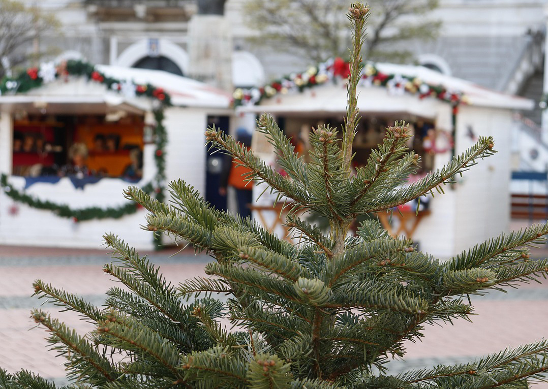 Tips på julmarknader runt om i Sverige