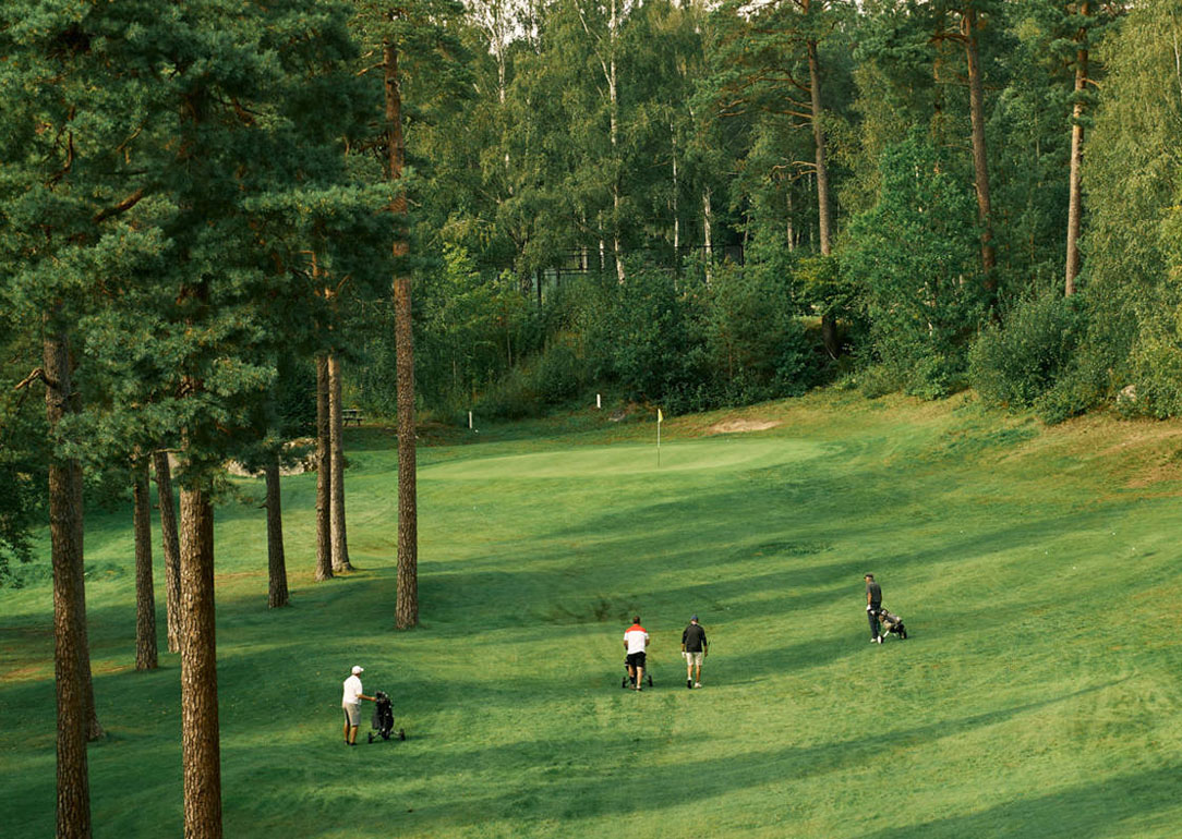 PMGolf 2025