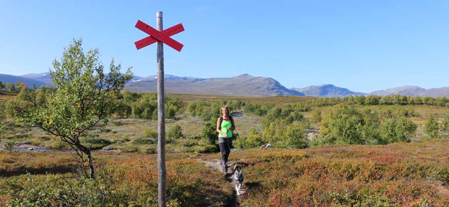 Fjällandskap