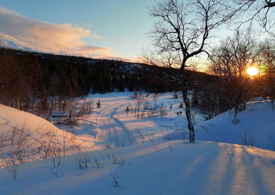 STF Fjällhornet Resort