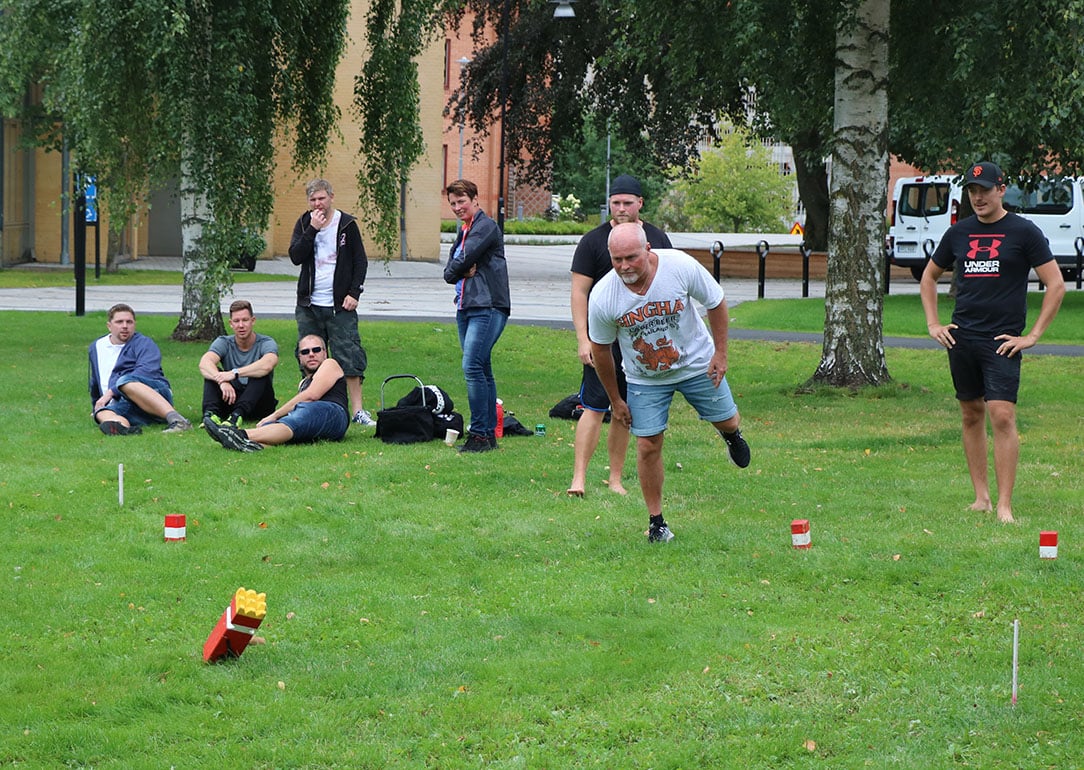 PM i Kubb 2019