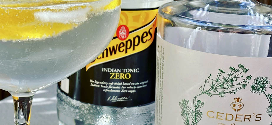 Alkoholfri GT - Gin och tonic
