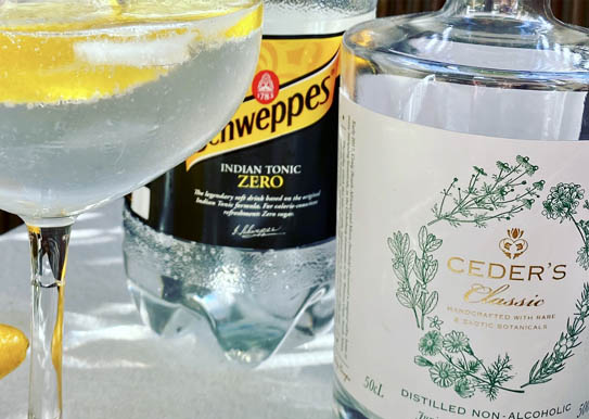 Alkoholfri GT - Gin och tonic